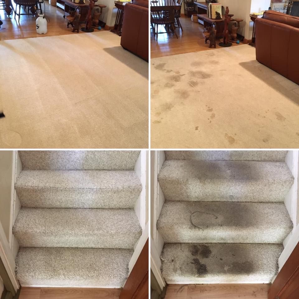 FloorTech floor transformation
